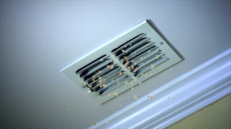 Best Residential Air Duct Cleaning  in Pines Lake, NJ