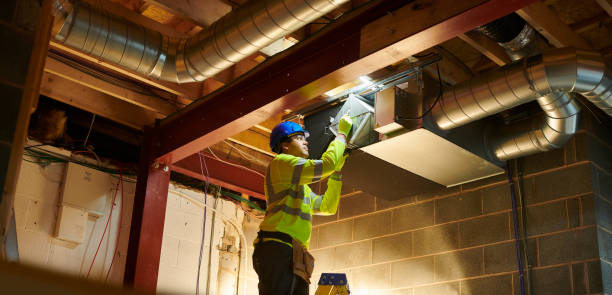 Best Air Duct Mold Removal  in Pines Lake, NJ